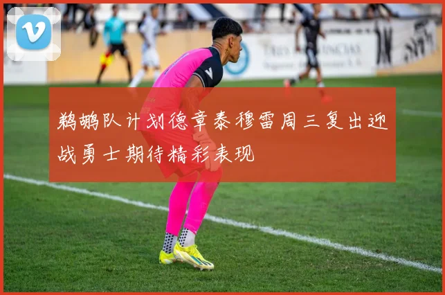 鹈鹕队计划德章泰穆雷周三复出迎战勇士期待精彩表现