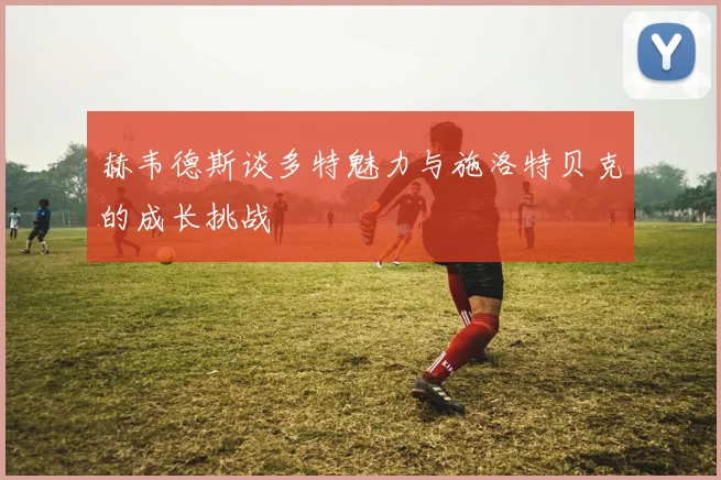 赫韦德斯谈多特魅力与施洛特贝克的成长挑战