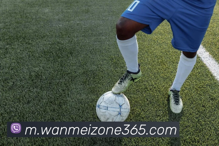 完美体育APP 封面图